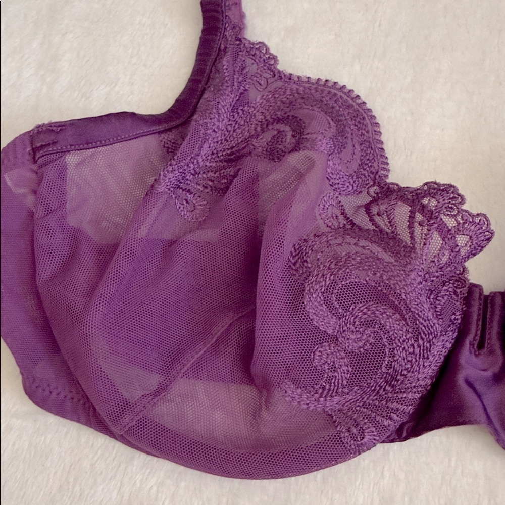La Perla | Floral Groove Embroidered Tulle Underwire Plunge Bra Purple (36C) - Picture 2 of 16